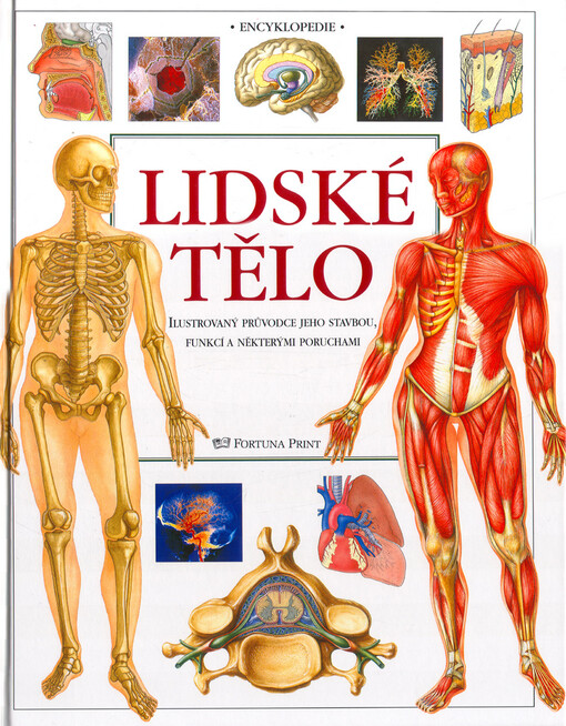 Lidské tělo: ilustrovaný průvodce jeho stavbou, funkcí a některými poruchami : [encyklopedie]