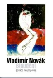 Vladimír Novák : bloudění : (práce na papíře)