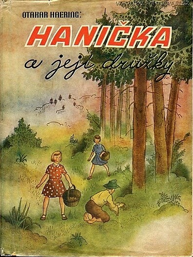 Hanička a její družky :Dívčí románek