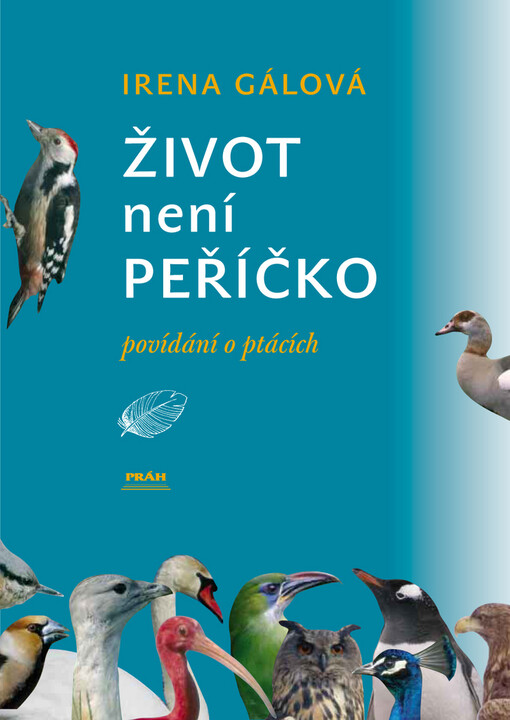 Život není peříčko: povídání o ptácích