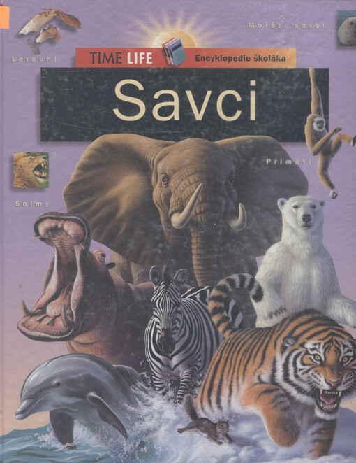 Savci
