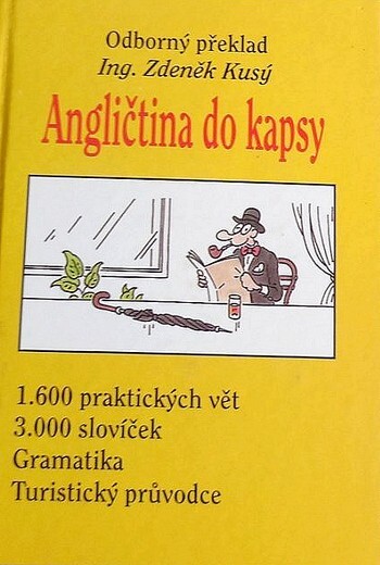 Angličtina do kapsy