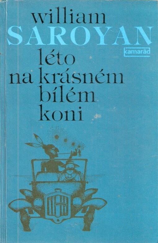 Léto na krásném bílém koni