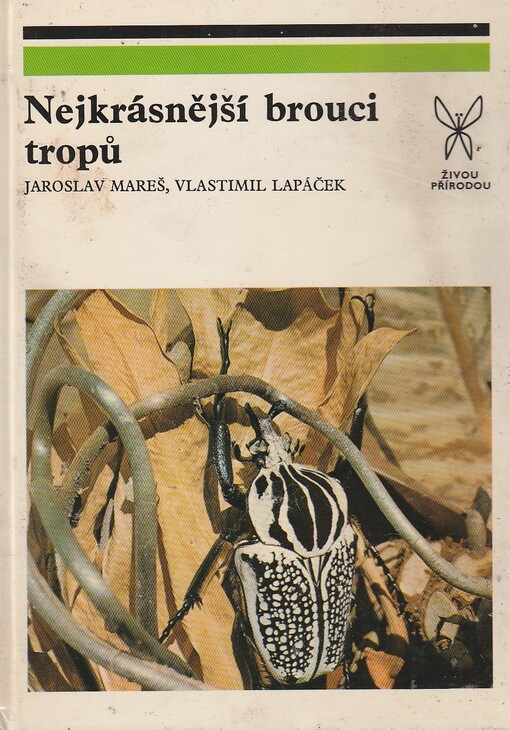 Nejkrásnější brouci tropů