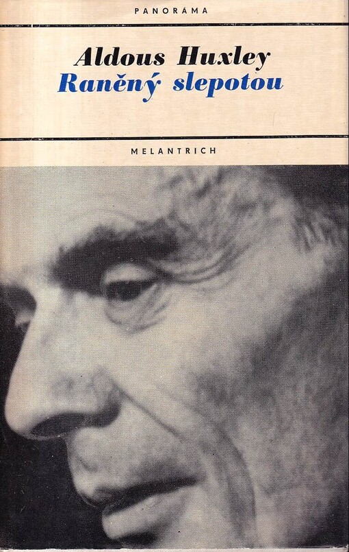 Raněný slepotou: Román