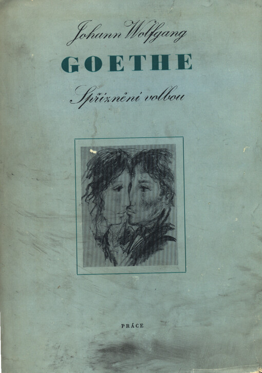 Spříznění volbou