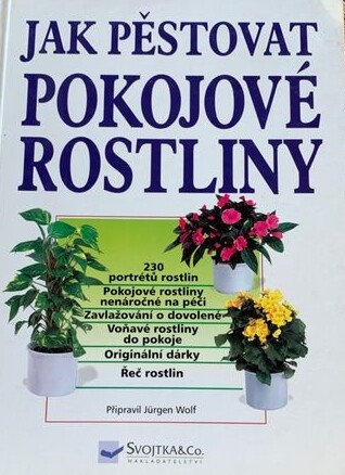 Jak pěstovat pokojové rostliny