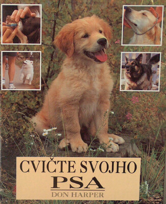 Cvičte svojho psa