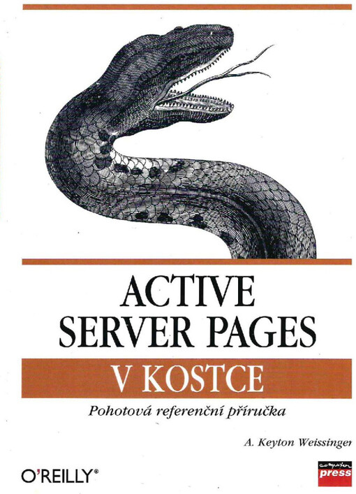 Active Server Pages v kostce :pohotová referenční příručka