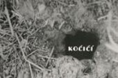 Kočičí :[katalog : Klatovy září - listopad 1998