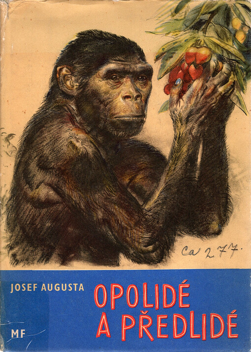 Opolidé a předlidé