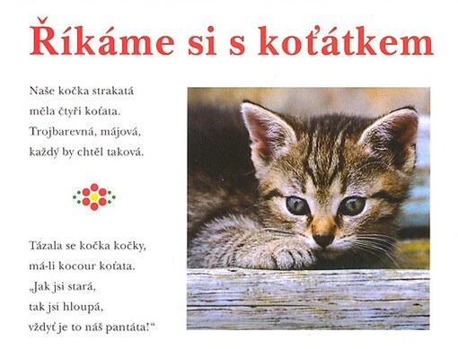 Říkáme si s koťátkem
