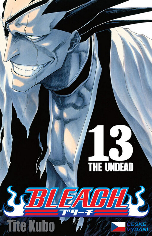 Bleach 13