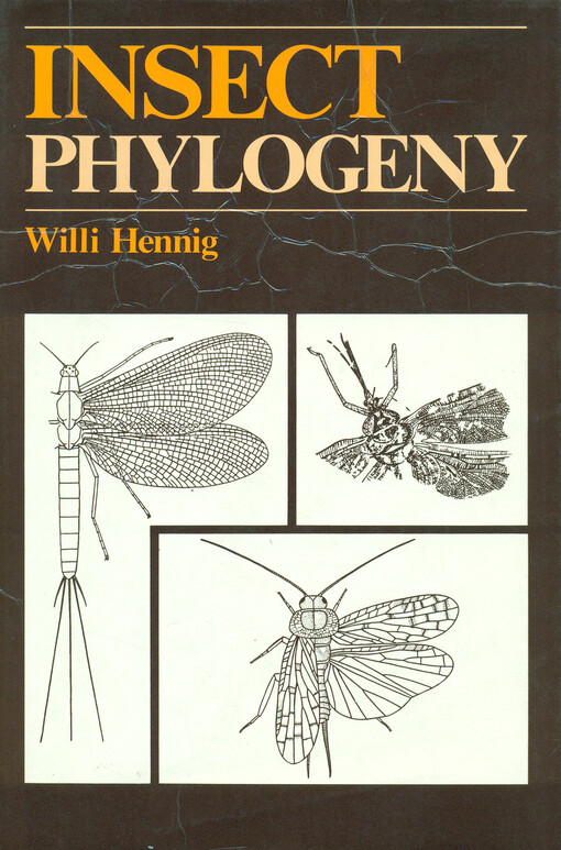 Insect Phylogeny