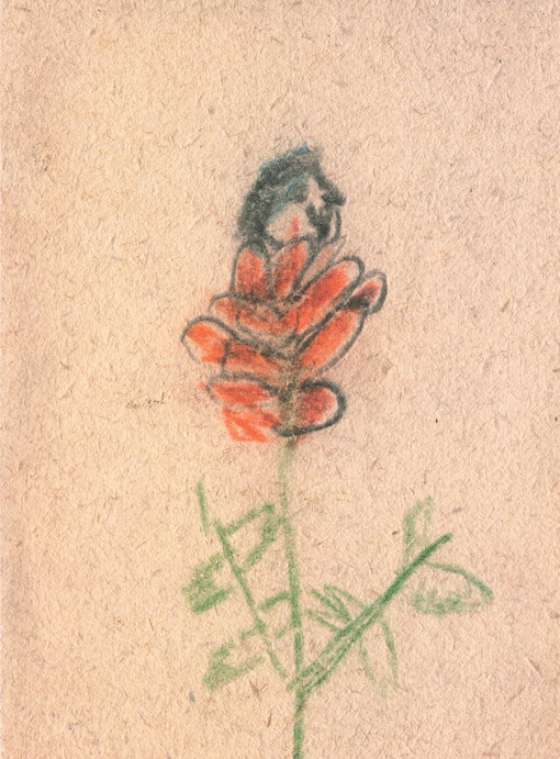 Martin Zet : a flower bloomed from the rose : [the book is part of the exhibition Labor day, 1.5.2014-5.6.2014, City Gallery in Pilsen   