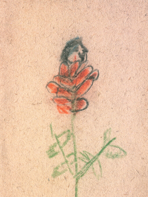 Z růže kvítek vykvet nám