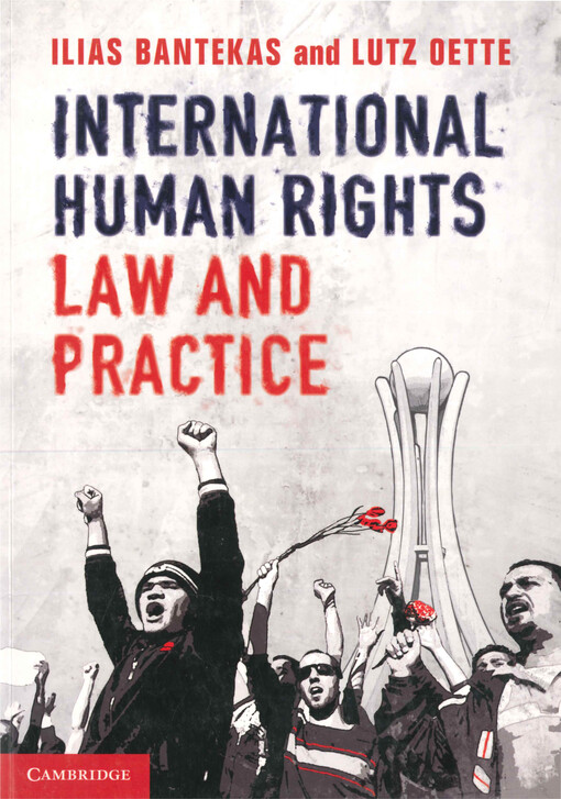 International human rights law and practice