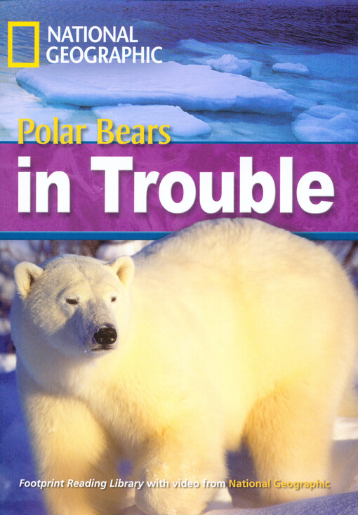 Polar bears in trouble