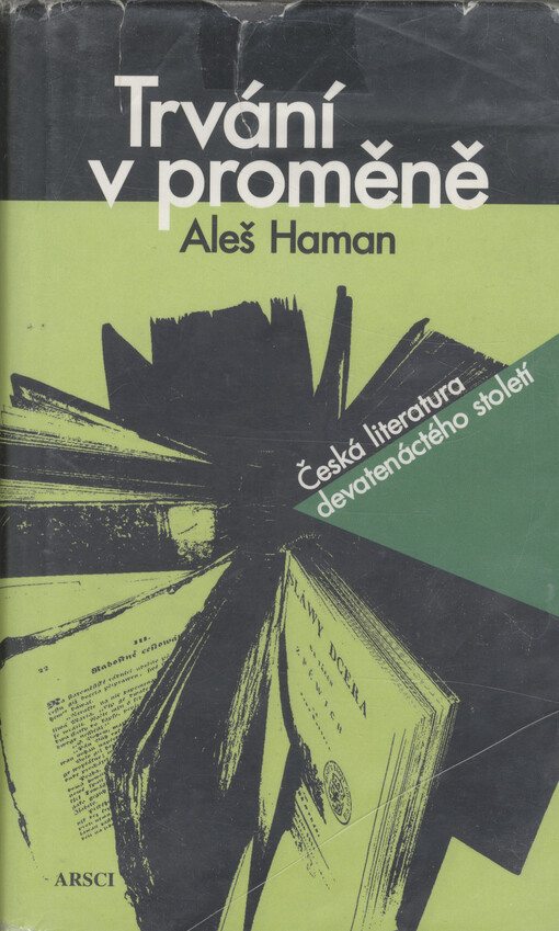 Trvání v proměně : česká literatura devatenáctého století