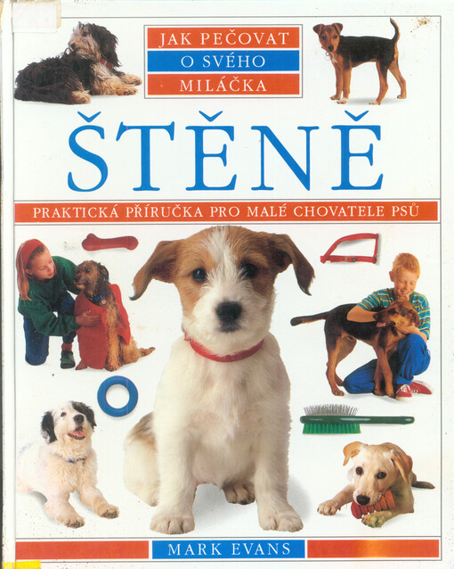 Štěně