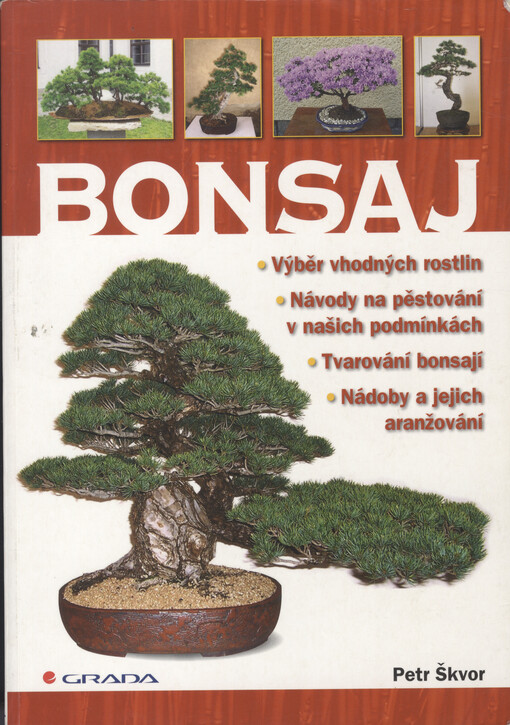 Bonsaj