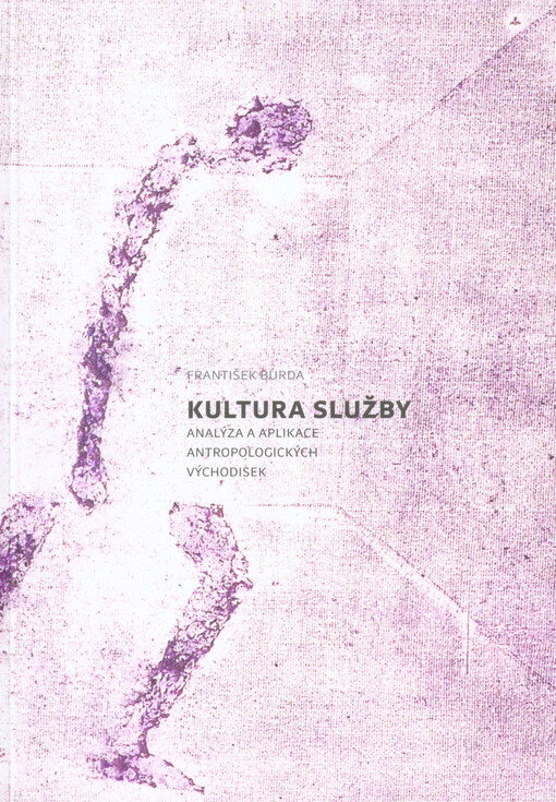 Kultura služby