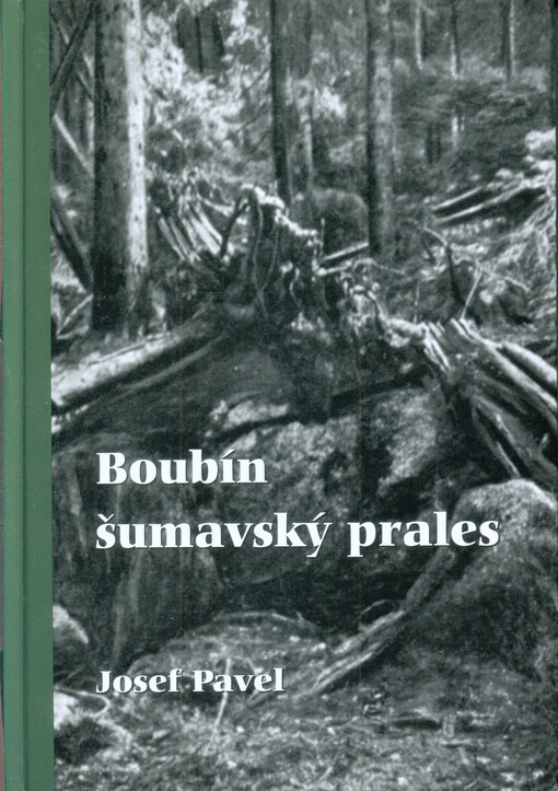 Boubín, šumavský prales