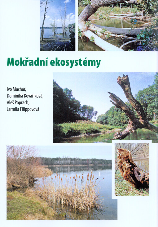 Mokřadní ekosystémy