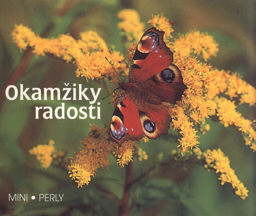 Okamžiky radosti