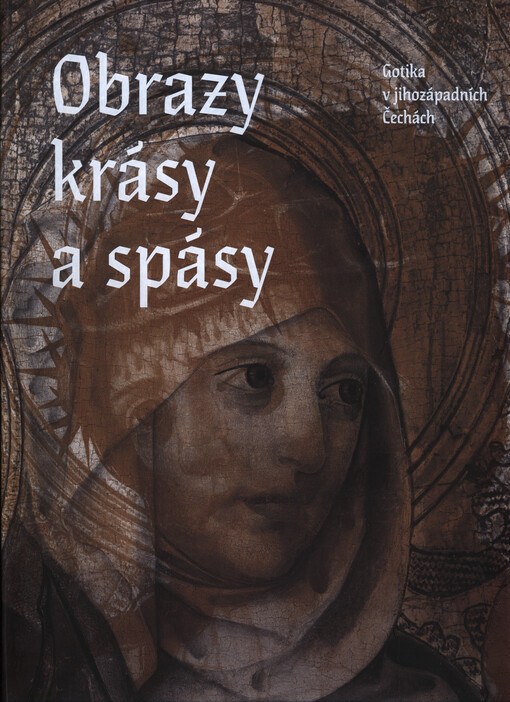 Obrazy krásy a spásy :gotika v jihozápadních Čechách