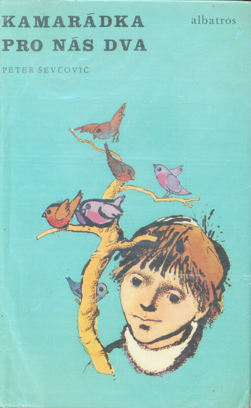 Kamarádka pro nás dva