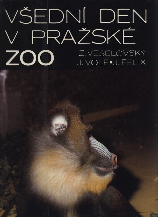 Všední den v pražské ZOO
