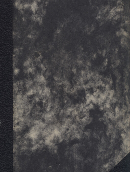 Novější papežská politika