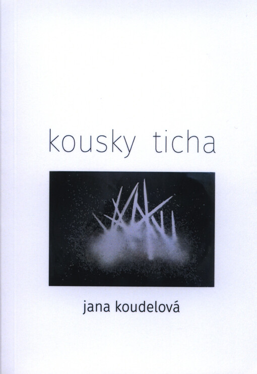 Kousky ticha