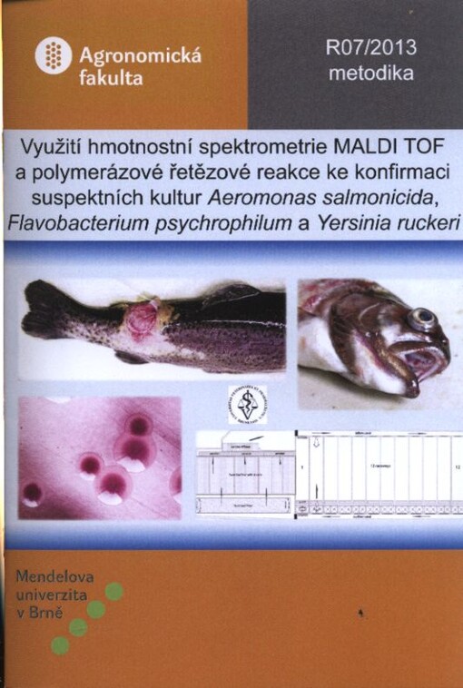 Využití hmotnostní spektrometrie MALDI TOF a polymerázové řetězové reakce ke konfirmaci suspektních kultur Aeromonas salmonicida, Flavobacterium psychrophilum a Yersinia ruckeri :certifikovaná metodika