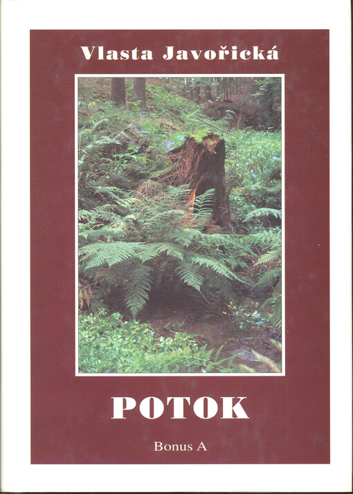 Potok : (vesnický život několika let)