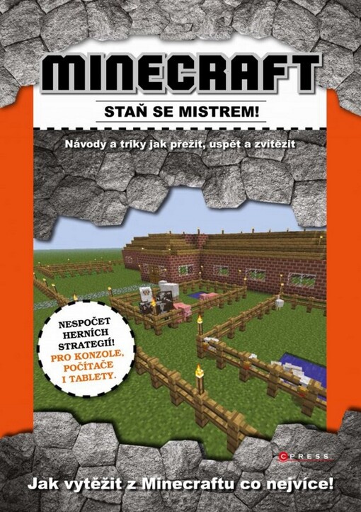 Minecraft - staň se mistrem!