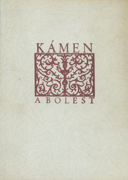 Kámen a bolest :Michelangelo Buonarroti