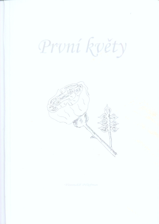 První květy