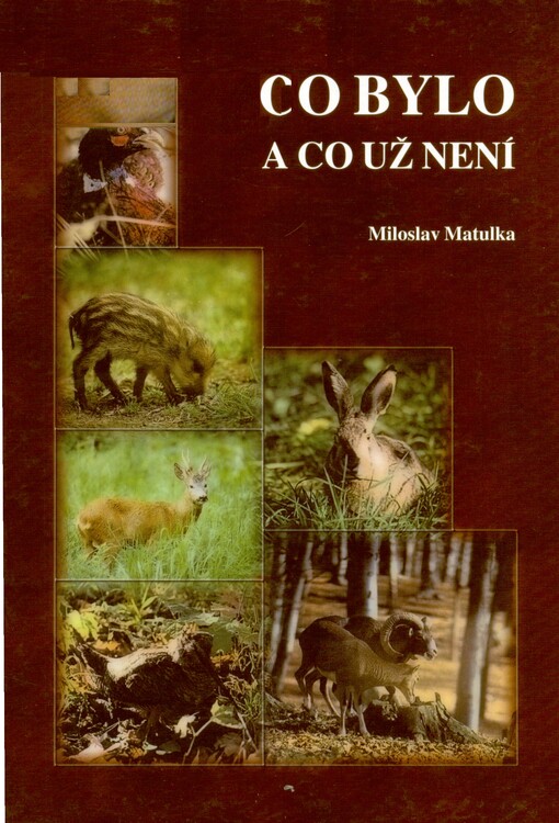 Co bylo - a co už není