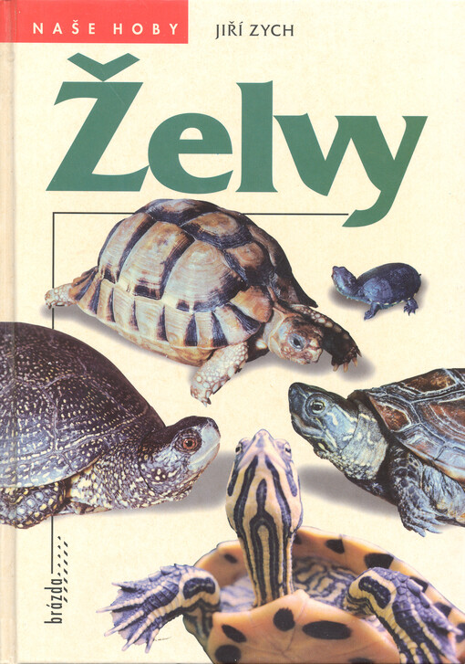 Želvy