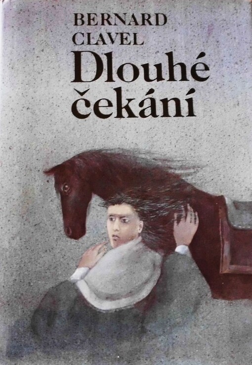Dlouhé čekání