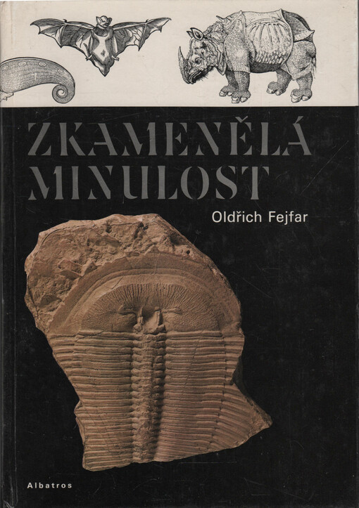 Zkamenělá minulost