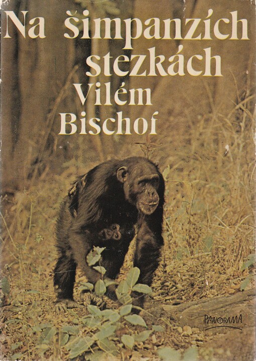 Na šimpanzích stezkách