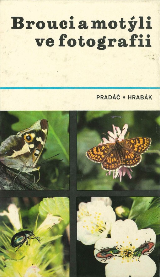 Brouci a motýli ve fotografii