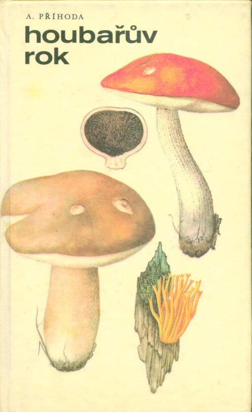 Houbařův rok: houbařské vycházky od jara do zimy