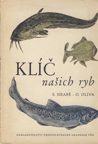 Klíč našich ryb