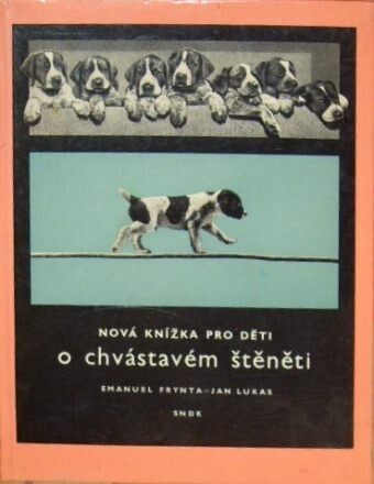 Nová knížka pro děti o chvástavém štěněti