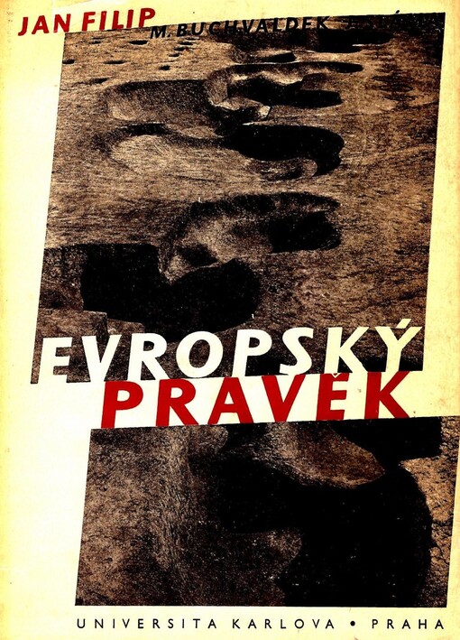 Evropský pravěk :nástin vývoje prvobytné společnosti
