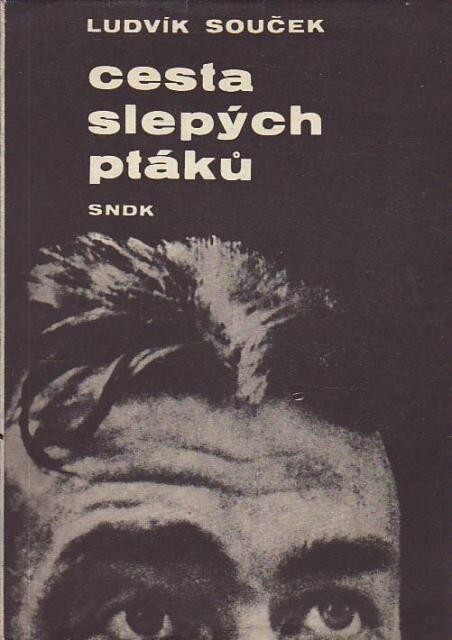 Cesta slepých ptáků